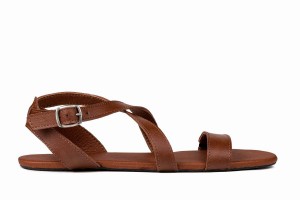 Sandalias Ahinsa Hava Barefoot Mujer Marrones | CQM2141WG