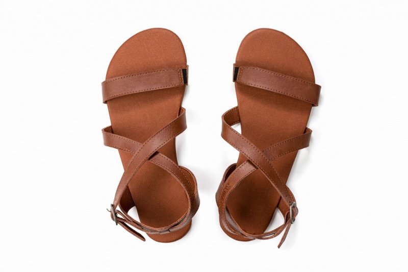 Sandalias Ahinsa Hava Barefoot Mujer Marrones | CQM2141WG